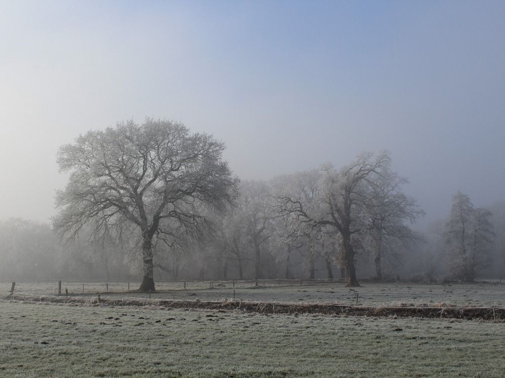 Massa de ar polar intensa derruba as temperaturas ao longo da semana e há possibilidade de geada generalizadas.