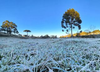 Frio não dá trégua! Previsão de geada até o fim de semana; temperaturas abaixo dos 10°C em boa parte do centro-sul