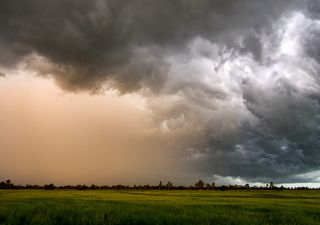 Frio no S e retorno das chuvas para as regiões SE, CO, N e parte do NE
