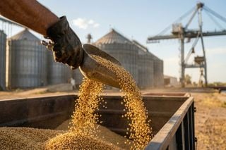 Alerta de frio no Sul: umidade interna amea&ccedil;a silos antes do Feriado da Independ&ecirc;ncia