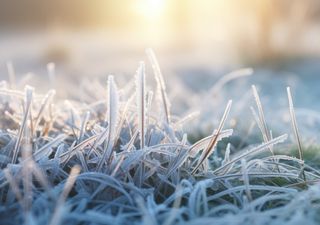 Frío nocturno hasta de -10 °C en plena primavera: heladas severas este fin de semana en más de 15 entidades de México