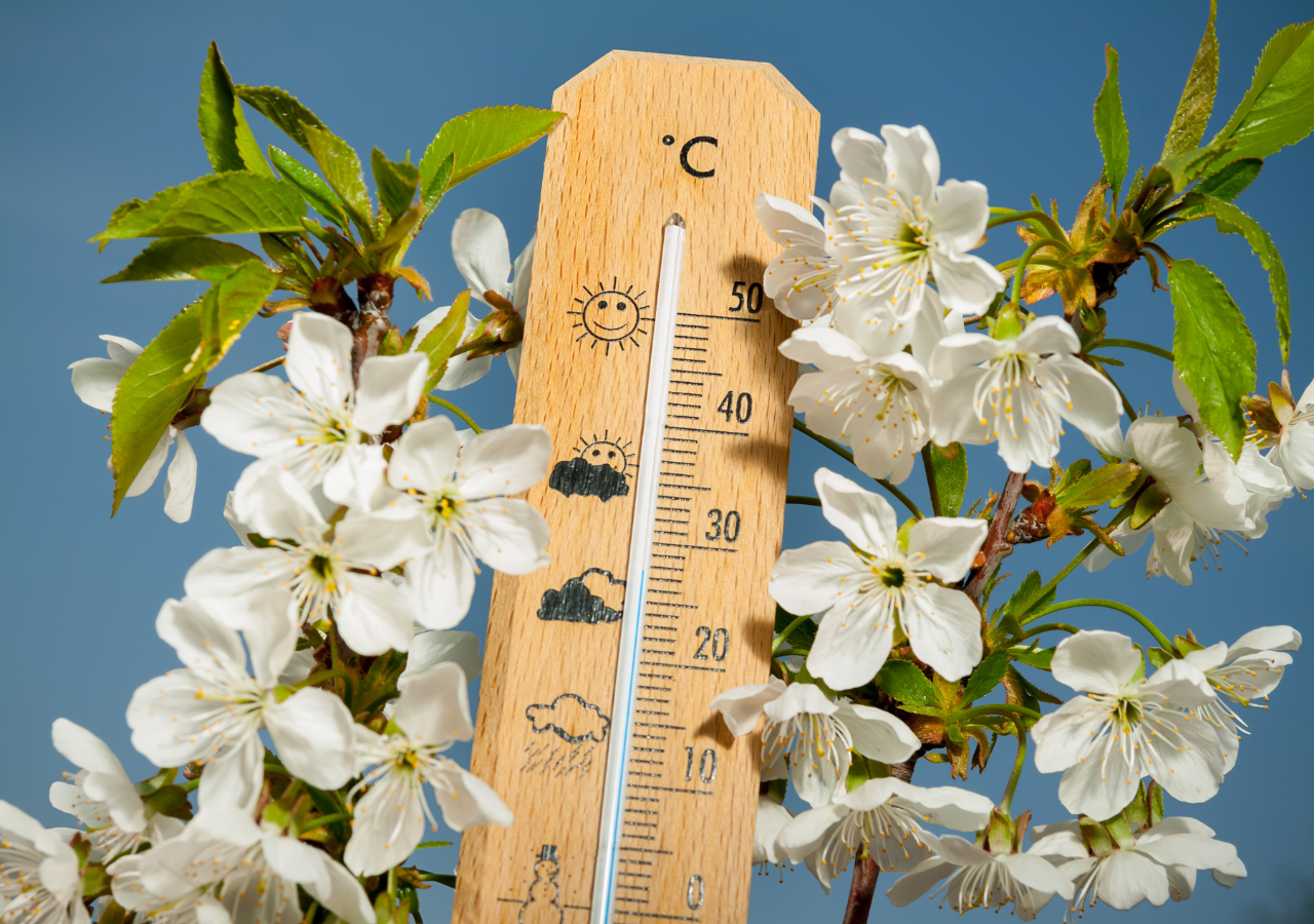 El pronóstico estacional indica que la primavera estaría claramente marcada por los efectos del fenómeno de El Niño sumado a la crisis climática, favoreciendo las altas temperaturas.