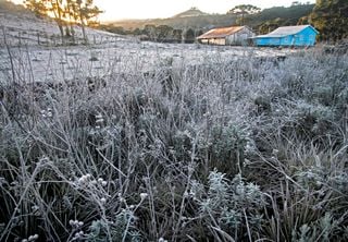 Frio persiste no Sul do Brasil após a virada no tempo; confira a previsão para o fim de semana