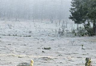 Frio polar traz temperaturas de inverno e geadas de volta nesta semana; confira a previsão