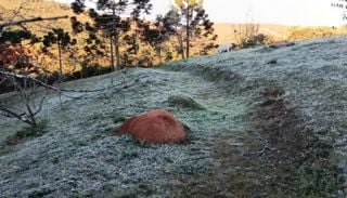 Frio recorde no RJ e SP traz geada a Campos do Jord&atilde;o e ressaca no mar