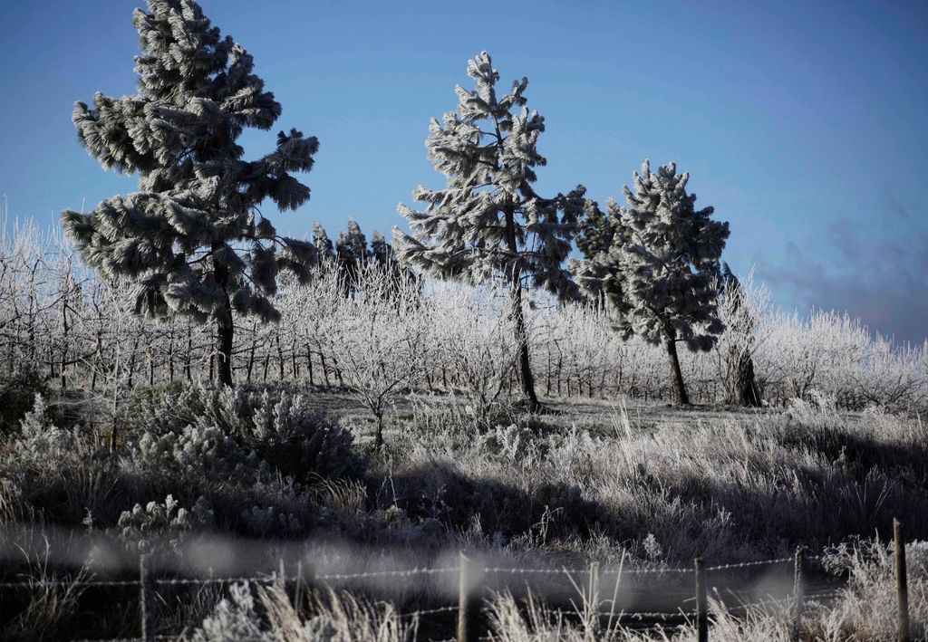 Nova massa de ar frio vai derrubar as temperaturas no Brasil nos próximos dias. Nova massa de ar frio vai derrubar as temperaturas no Brasil nos próximos dias.