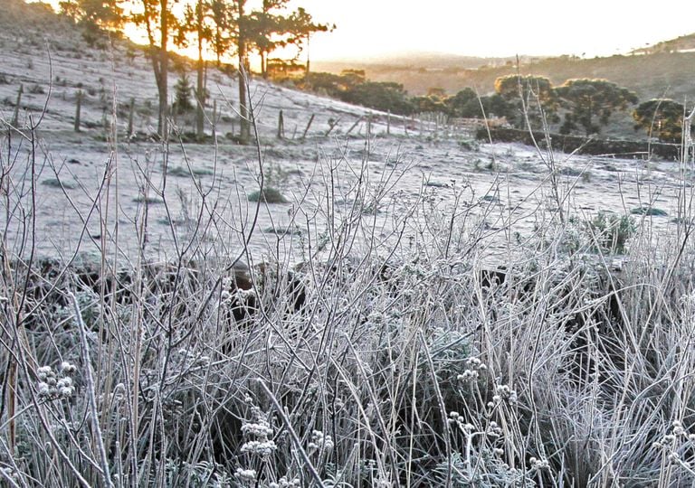 Frio mais rigoroso j&aacute; tem data para voltar ao Sul e Sudeste; confira
