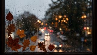 Fr&iacute;o y lluvias para octubre en M&eacute;xico: prevalece pron&oacute;stico con frentes fr&iacute;os y ciclones tropicales, torn&aacute;ndose fr&iacute;o