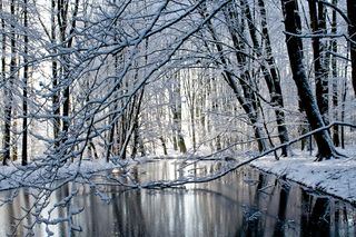 Froid et neige ce week-end