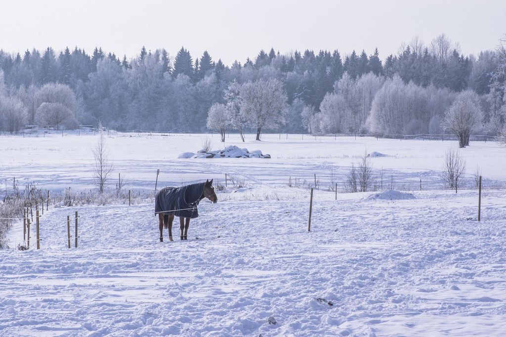 Neige prévue dimanche