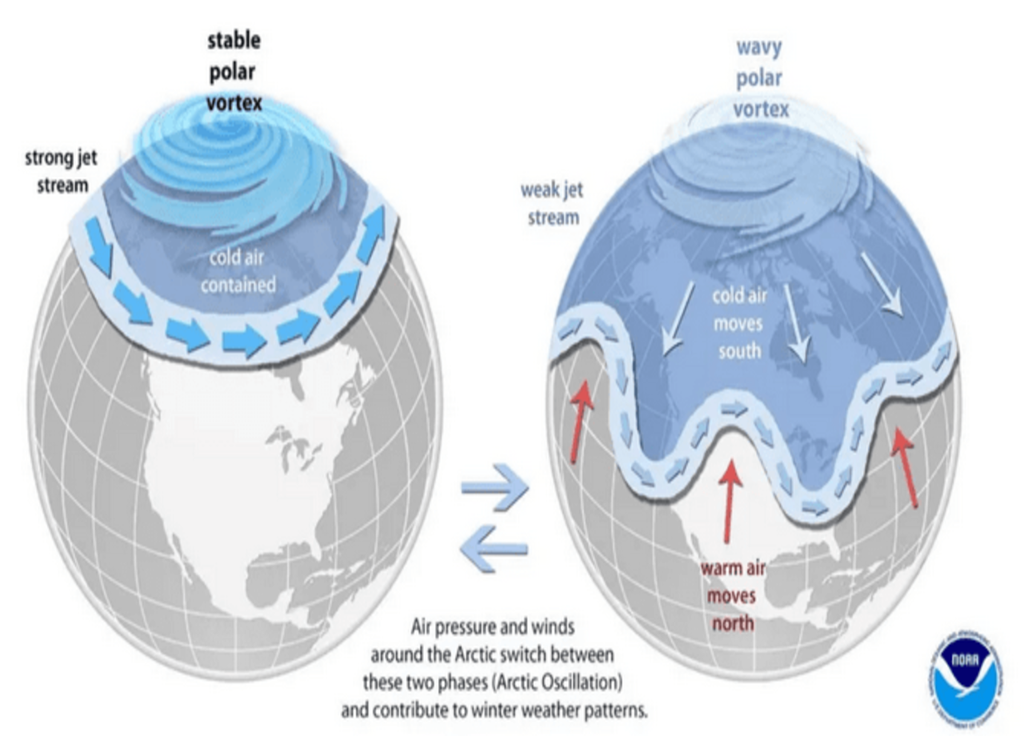 Vortex polaire stable ou concentré (à gauche) - vortex polaire déconcentré favorisant les ondulations (à droite) | @NOAA