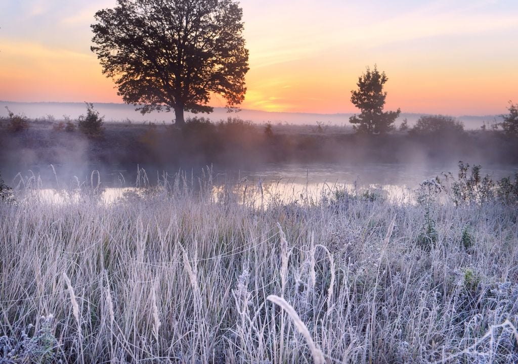 frosty sunrise