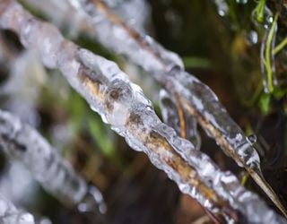 Frostschock mitten im Mai! Nächste Woche kommt die Kaltluft nach Deutschland!