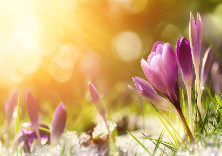Heißer Frühling Heißer Frühling