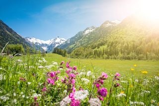 Clima, plantas y calendario: ¿cuándo comienza realmente la primavera?
