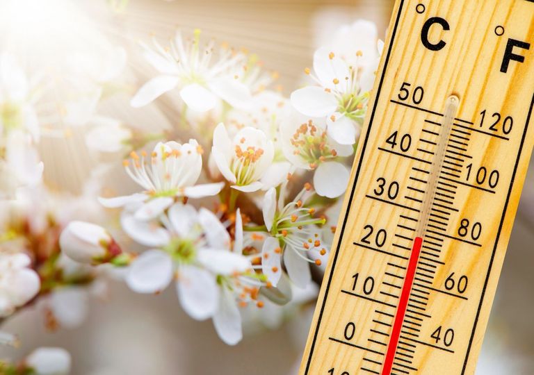 Frühlingsprognose für Deutschland: Sehr warm und trocken! Frühe Hitze? Frühlingsprognose für Deutschland: Sehr warm und trocken! Frühe Hitze?