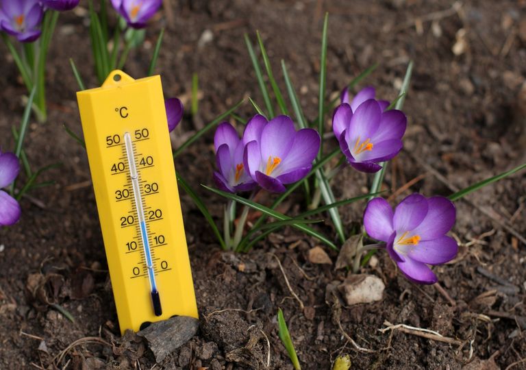 Dauerfrühling: Nächste Woche schon wieder 20°C! Dauerfrühling: Nächste Woche schon wieder 20°C!