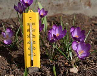Der Frühling erreicht Deutschland: 15 bis 22°C! Kommt der Winter nochmal?