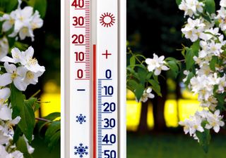 Frühling in Deutschland: Wann fällt die 20-Grad-Marke?