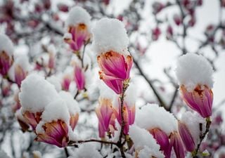 Überraschende Frühlingsprognose: Schlägt der Winter in Deutschland mit Eis und Schnee verspätet zu?