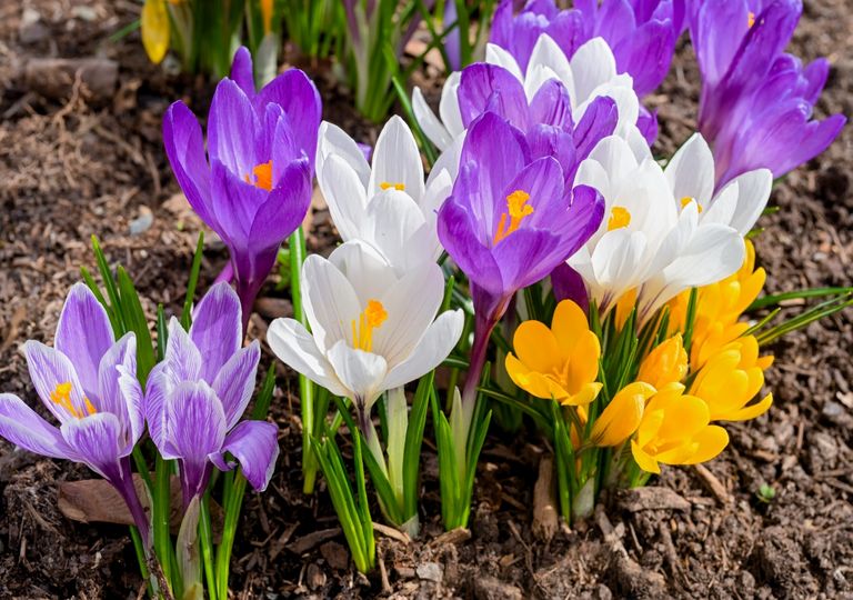Frühlingswetter Frühlingswetter