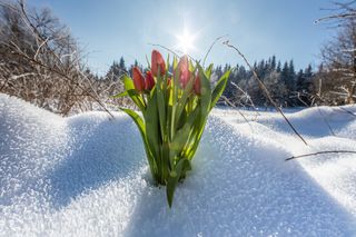 Frühlingshauch mit Sonne und fast 15 Grad im Süden!