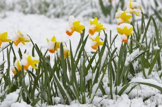 Frühlingswetter ade: Schnee zum Aprilstart!
