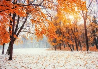 Früher Wintereinbruch? Die erste Herbstprognose für Deutschland ist da! 