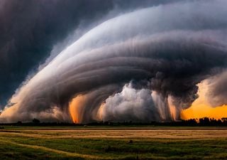 Fr&uuml;hling Prognose 2026: Teilweise Sommerw&auml;rme &ndash; Klimaexperte warnt: &bdquo;Mai wird explosiv