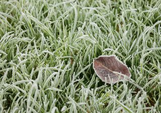 Frühlingswetter in Deutschland - Experte analysiert: Ist der Temperaturrausch bald vorbei? Droht uns jetzt der Absturz?