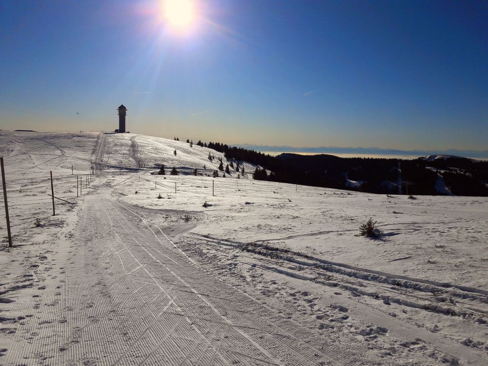Frühlingswochende im Schwarzwald - doch dann droht der Absturz! Meteorologe Köss: "Auch Schnee ist wieder möglich"