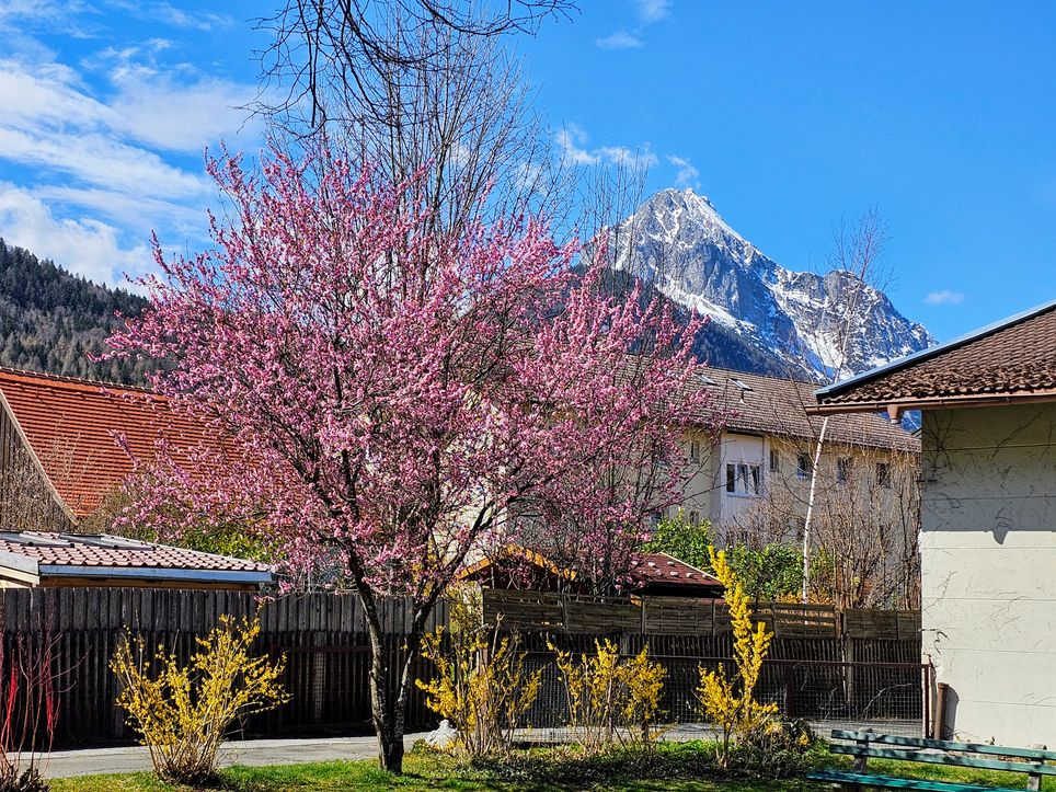 Frühsommerwetter in den Alpen - Hält das Wetter am langen "1. Mai-Wochenende"? Meteorologe Köss warnt vor Gewittern!