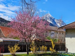 Frühsommerwetter in den Alpen - Hält das Wetter am langen 