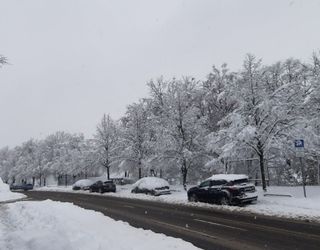 Frühwinter mit Schne und Frost im Anmarsch? Was der Hundertjährige Kalender für November/Dezember sagt