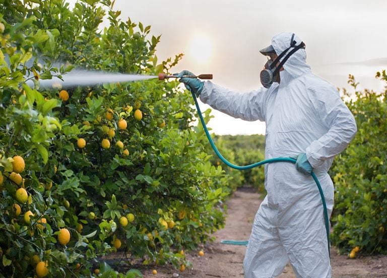 Fruits et l&eacute;gumes contamin&eacute;s aux pesticides : que peut-on encore manger en France ?