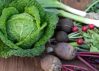 Fruits, l&eacute;gumes, poissons, fromages : d&eacute;couvrez la carte du mois de mars !