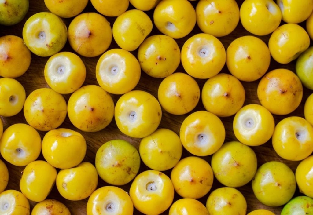 Popular no Nordeste e Norte do Brasil, o muruci ainda é pouco conhecido no restante do Brasil, apesar de suas muitas qualidades. Créditos: Divulgação Metrópoles