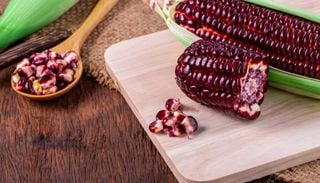 Fruta nativa da Am&eacute;rica do Sul, milho roxo rompe fronteiras e ganha espa&ccedil;o na Amaz&ocirc;nia