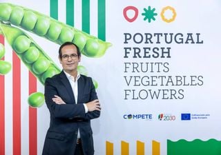 Frutas e legumes de Portugal em exposição na Fruit Attraction de São Paulo. Brasil é o maior mercado da América Latina