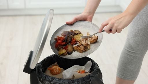 El 49,9 % de los chilenos desperdicia alimentos cada semana: qu&eacute; termina m&aacute;s seguido en la basura