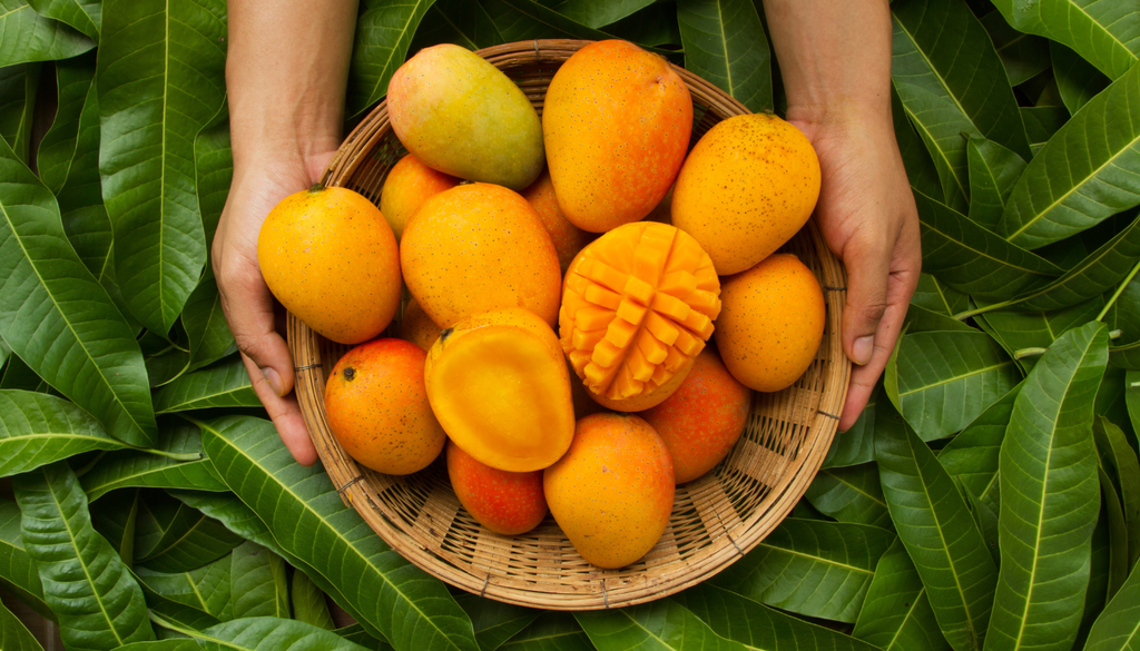 Estados como Chiapas, Oaxaca, Guerrero, Nayarit, Sinaloa y Michoacán lideran gran parte de la producción nacional de mango.