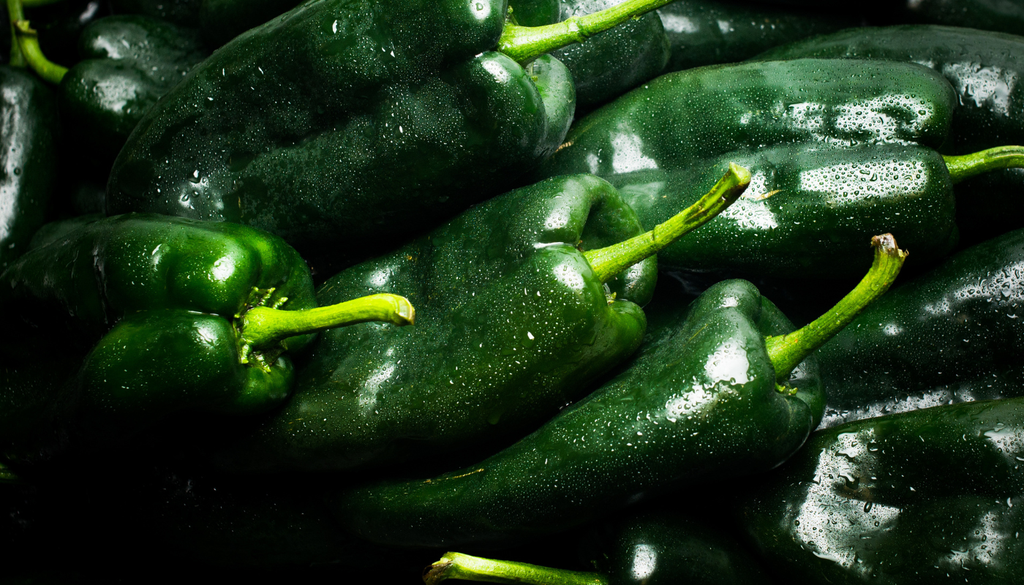 El chile poblano, un ingrediente emblemático de la cocina mexicana, se roba el show en septiembre.
El chile poblano, un ingrediente emblemático de la cocina mexicana, se roba el show en septiembre.