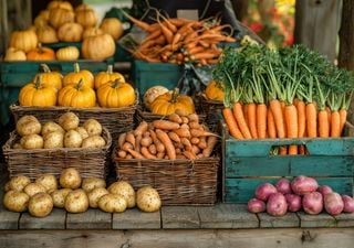 Frutas y verduras en junio en Chile: qué aprovechar al final del otoño