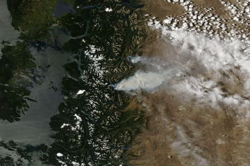 El fuego amenaza unos bosques muy raros de Argentina con un tipo de los &aacute;rboles m&aacute;s antiguos del mundo