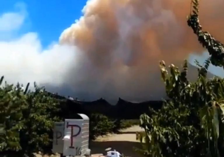 Fuego ya consume 100 hectáreas en incendio forestal de Sagrada Familia Fuego ya consume 100 hectáreas en incendio forestal de Sagrada Familia