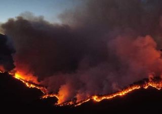 Fuego consume 400 hectáreas en Tamaulipas