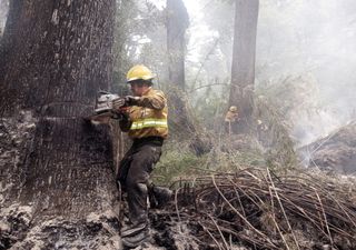 Fuego en el Parque Nacional Nahuel Huapi: el viento aviva las llamas y el área dañada se acerca a las 7000 hectáreas