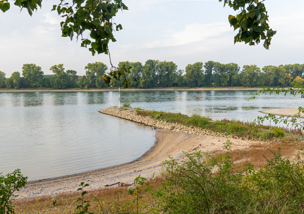 Rhein, Porz-Langel, lebensgefährliche Strömungen, Oberfläche Rhein, Porz-Langel, lebensgefährliche Strömungen, Oberfläche