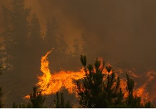 Más de 70 incendios forestales activos y fuera de control en Chile