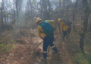 Incendios forestales se registraron en diversos sectores del estado de Oaxaca y ya est&aacute;n siendo controlados